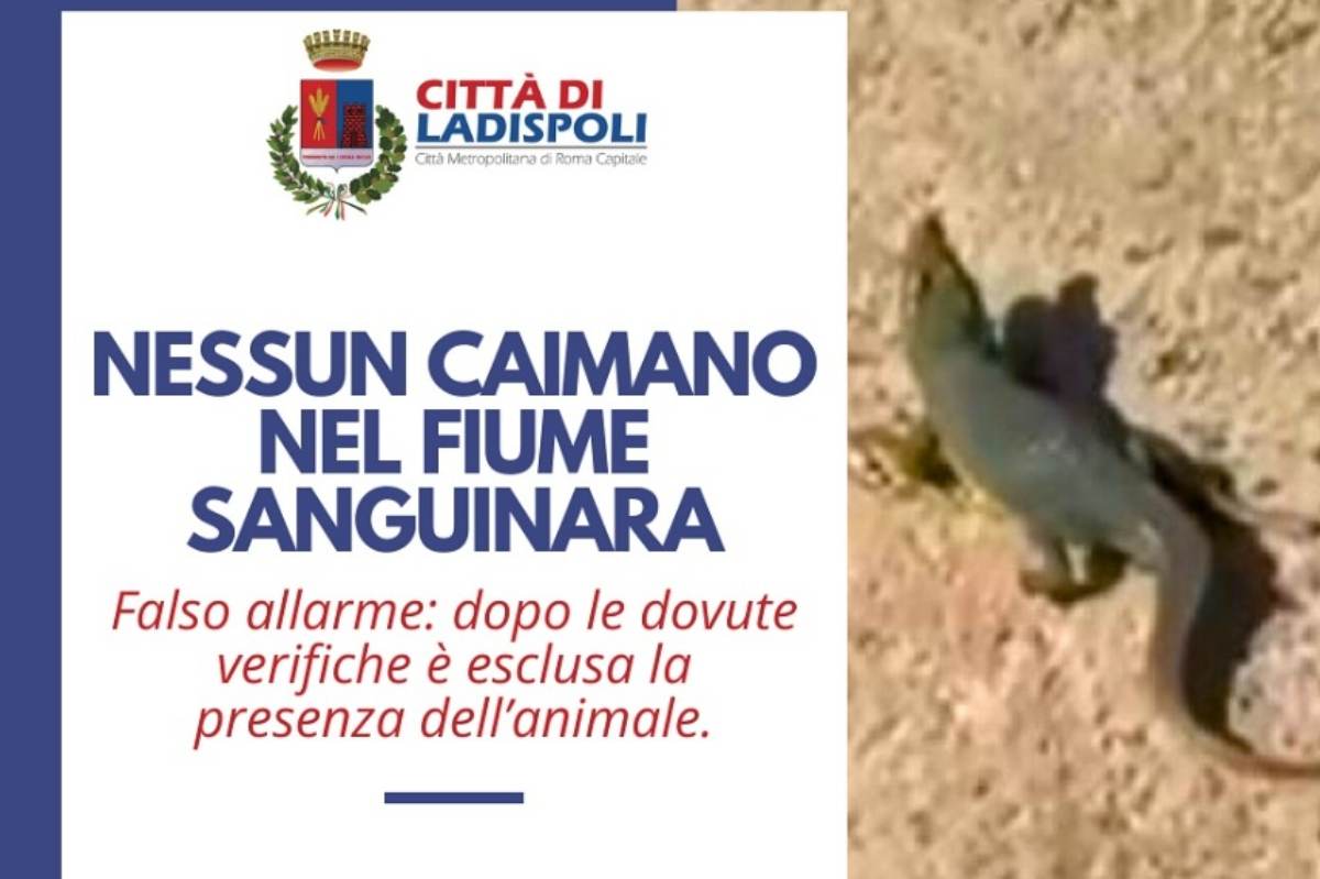 Comunicato ufficiale Ladispoli