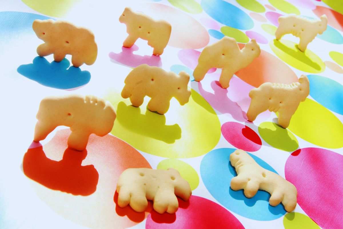 animali coi biscotti