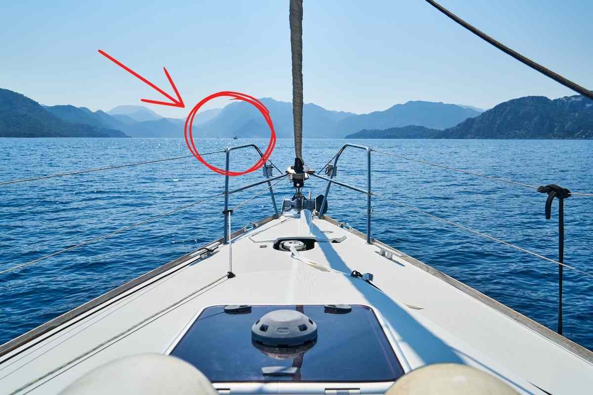 cucciolo salvato largo mare