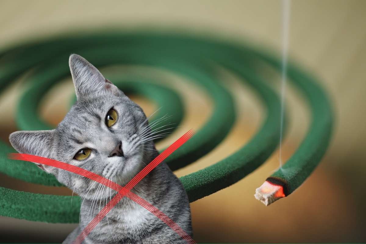 repellenti zanzare nocivi animali domestici