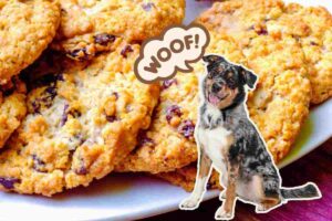 biscotti cane e nuvoletta woof