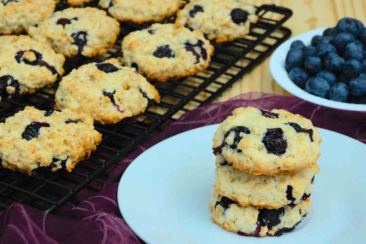 biscotti mirtilli e avena