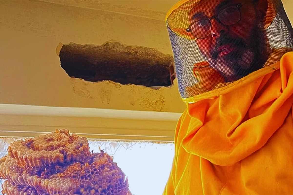 Andrea Lunerti con il gigantesco nido