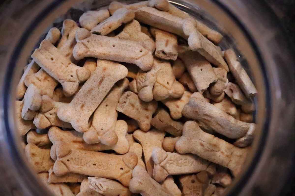 Biscotti per cani