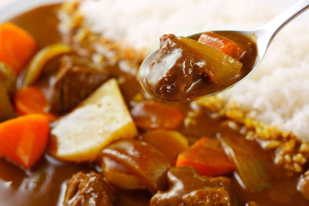 Cibo gourmet per cani