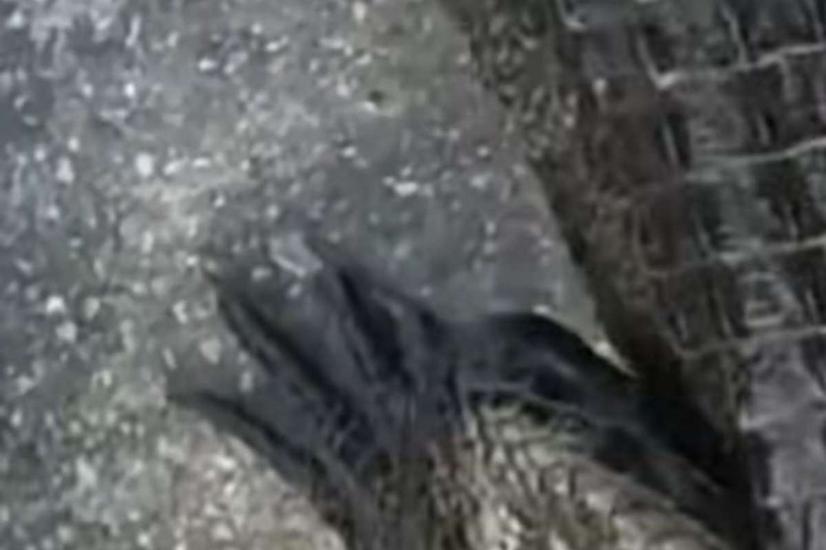Volevano fare video piscina