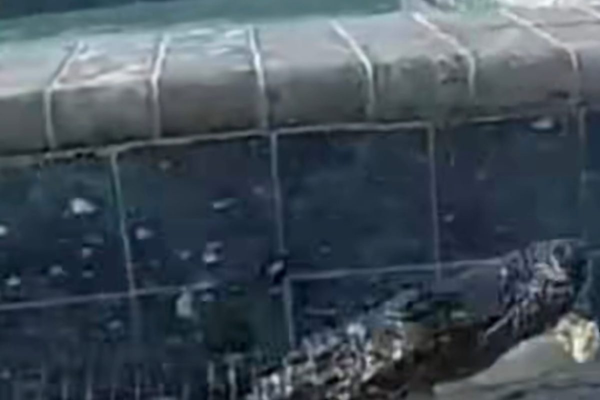 Volevano fare video piscina