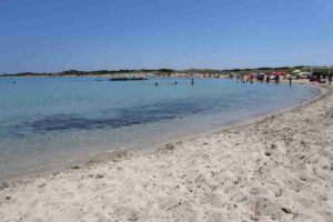 Conchiglia in spiaggia