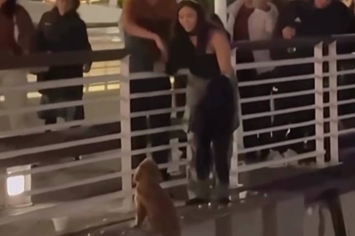 Donna cerca di salvare un cucciolo