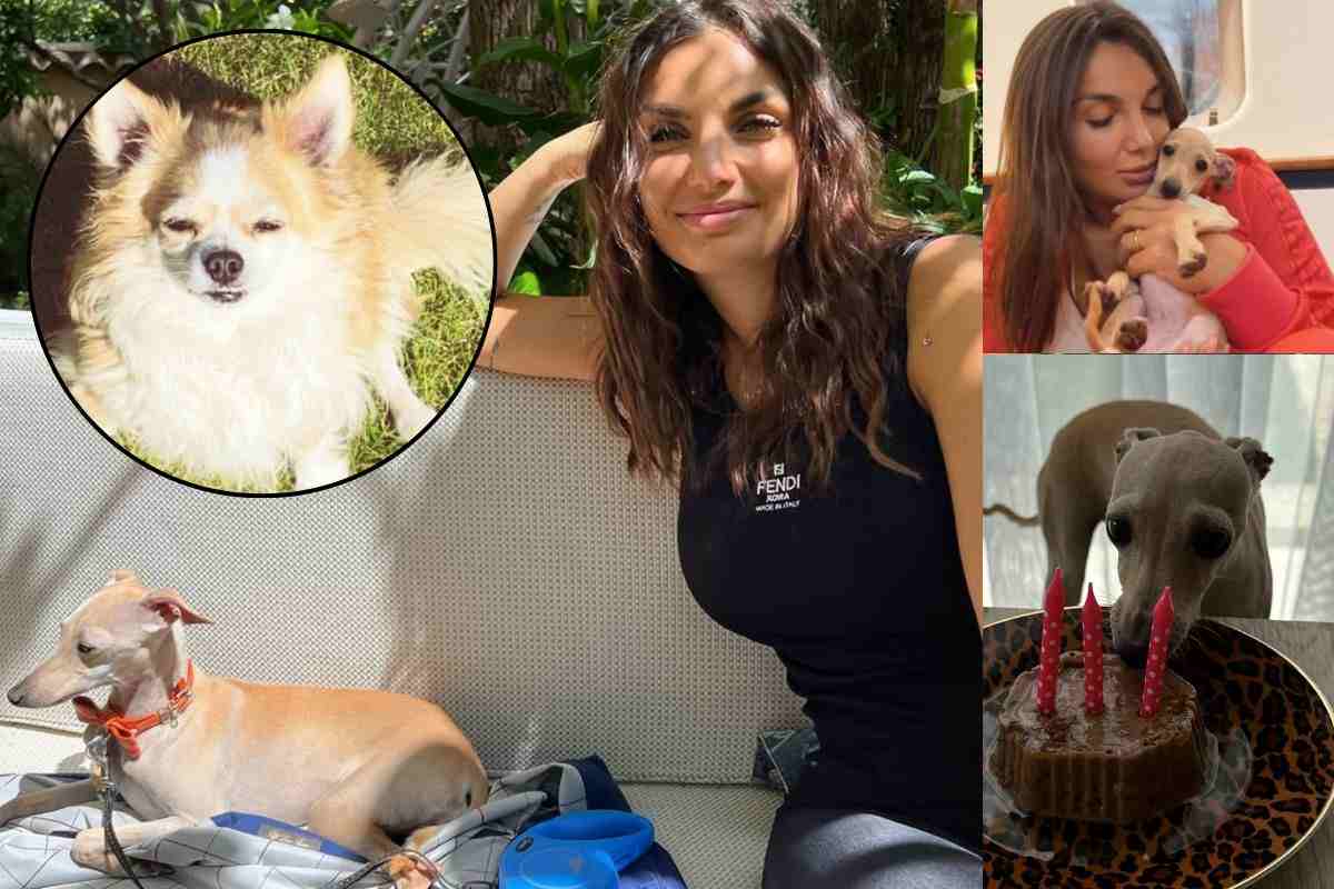 Elettra con i suoi cani, nel cerchio Eddie, scomparso nel 2021