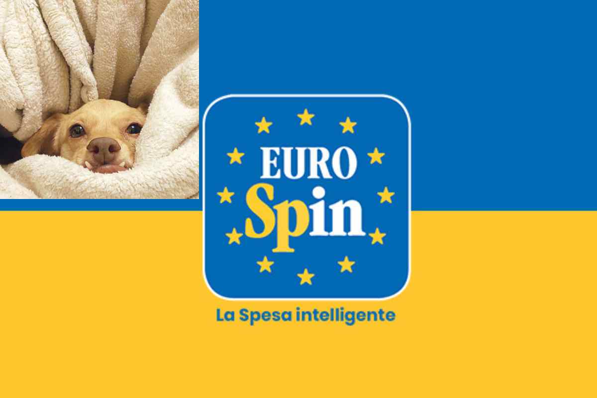 Con cani in casa ne compro sempre un sacco e spendo un botto: poi ho scoperto questa offerta Eurospin