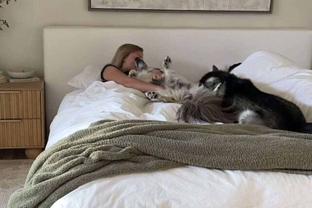 I cani svegliano la ragazza