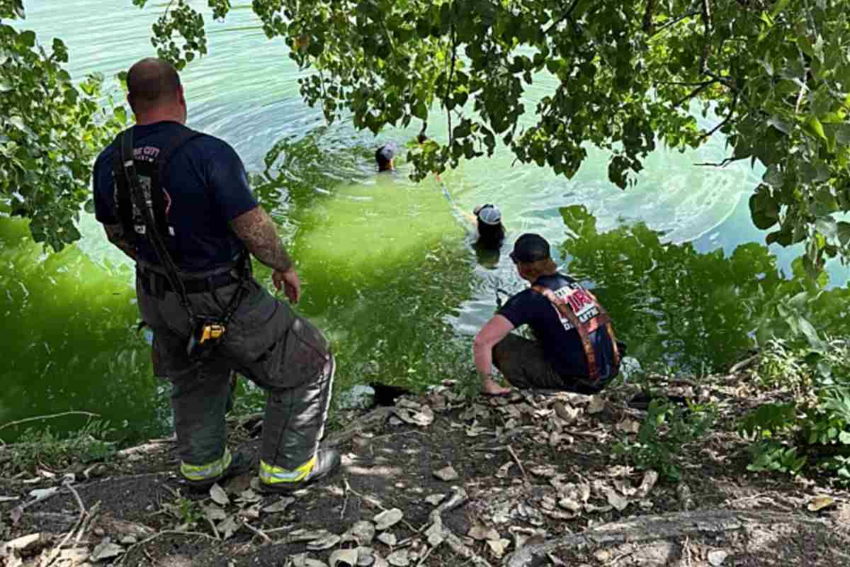 I soccorsi per liberare l'animale nel lago