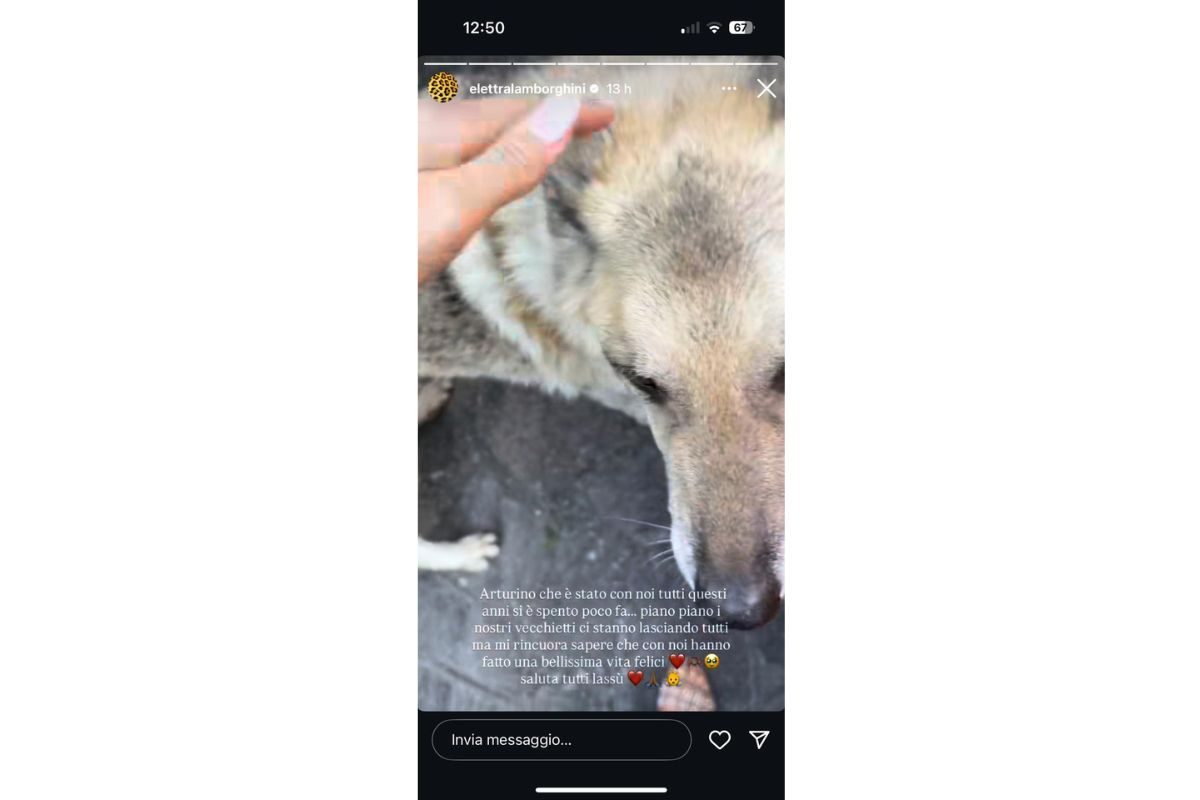 La recente storia Instagram che annuncia la morte di Arturo