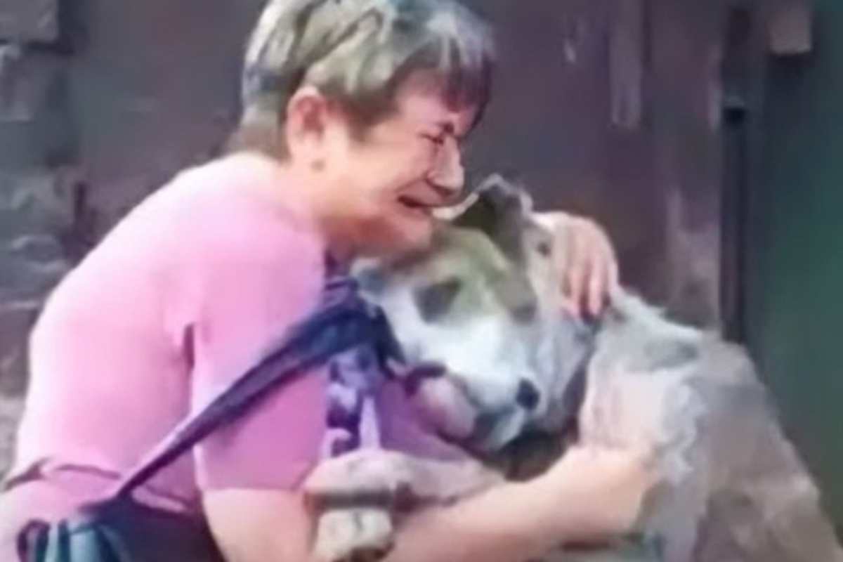 La signora con il cane rubato