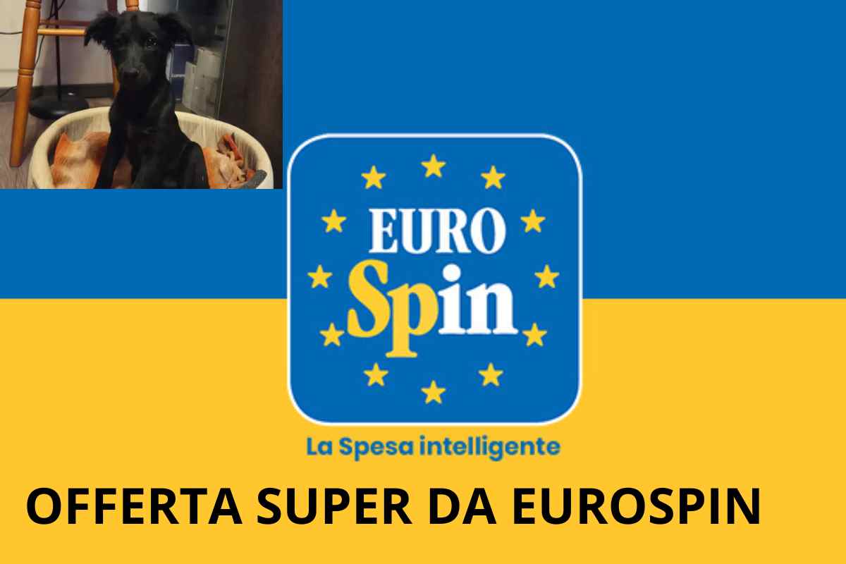 A prezzo migliore non l’ho trovata, da Eurospin con soli 15,99€ me la sono cavata
