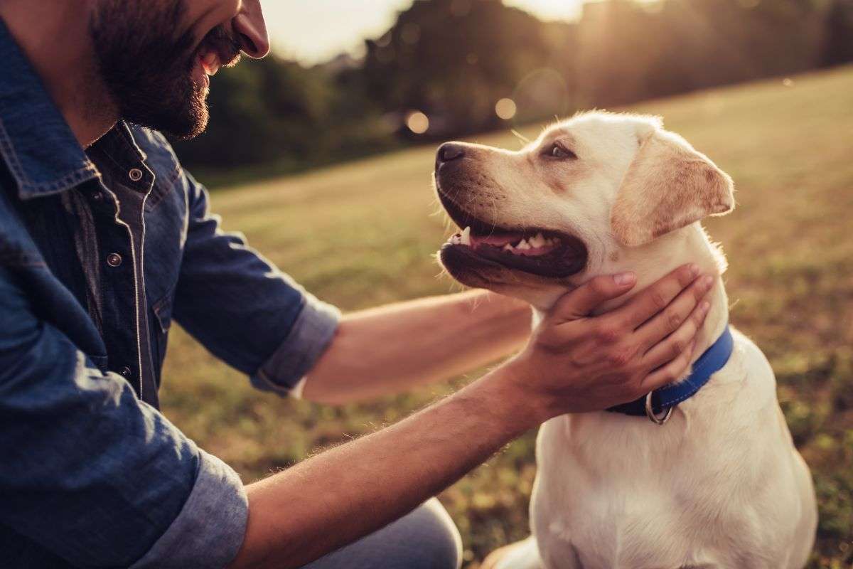 Padrone gioca con il suo cane