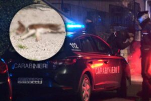 Pattuglia di Carabinieri