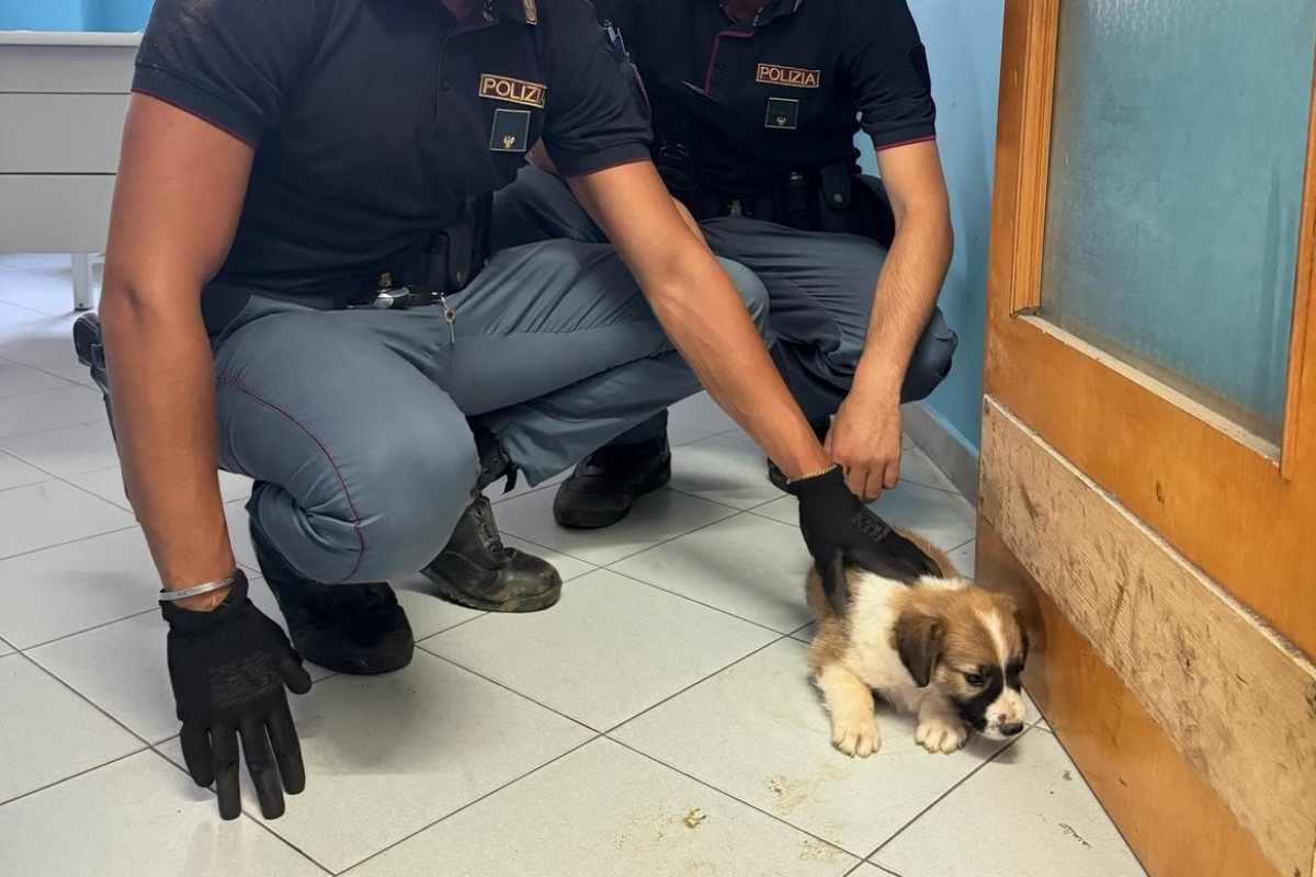 Cane salvato Polizia siete eroi