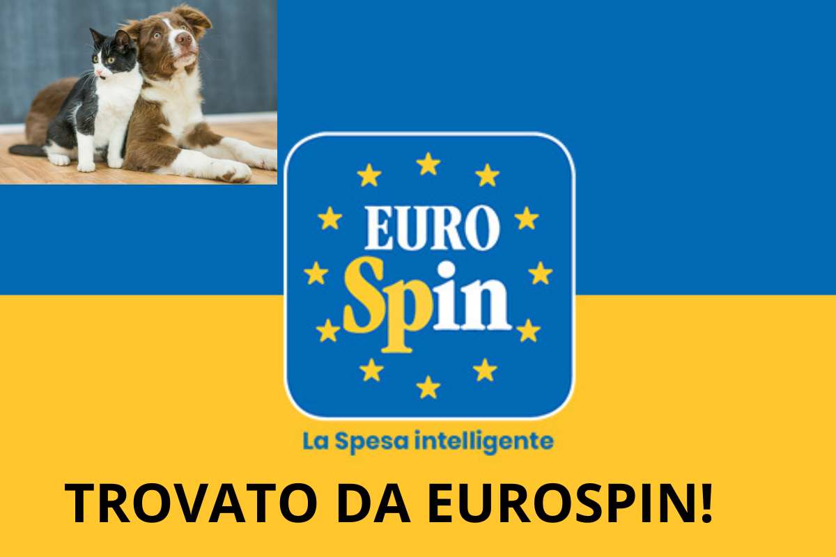 Da Eurospin trovato a meno di 6 euro