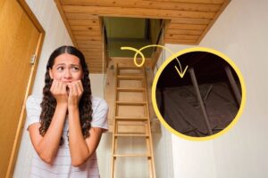 foto di una soffitta con freccia che indica due serpenti in una cornice e una donna spaventata