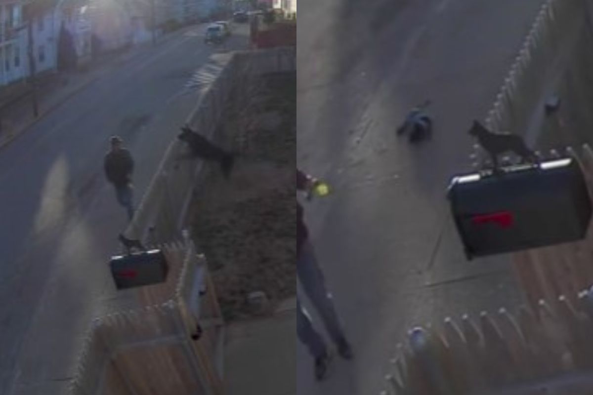 screen video sicurezza