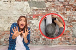 muro con cornice immagine salvataggio gattino e donna spaventata