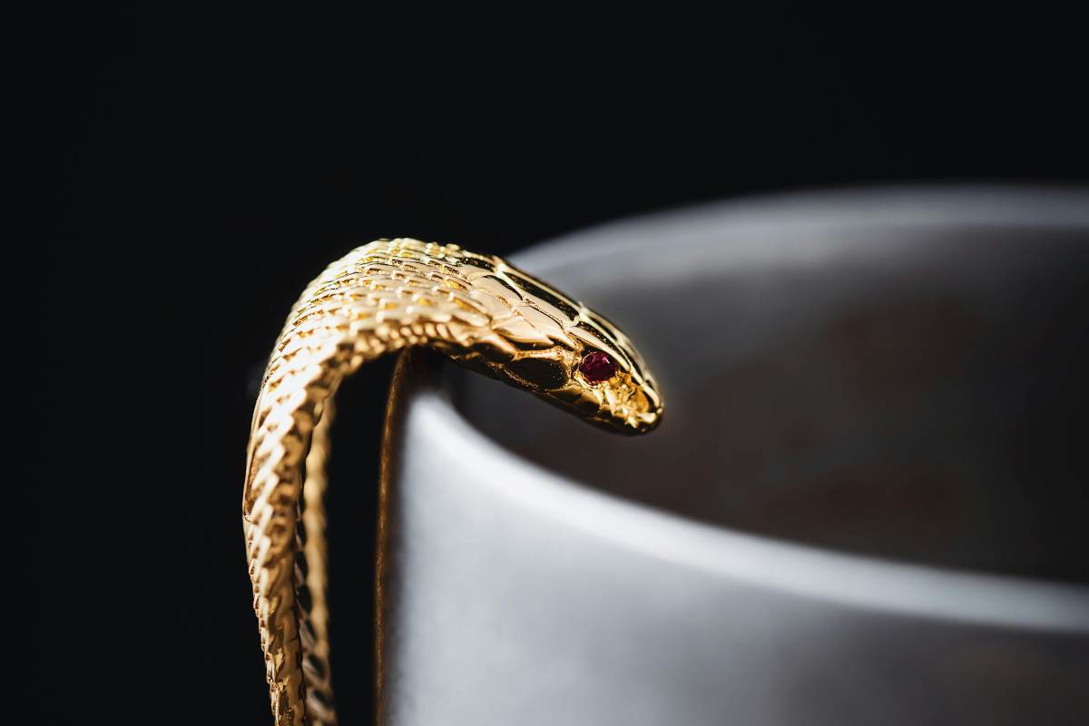 Sente rumore c'è un serpente in casa