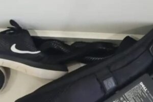 Serpente trovato tra le scarpe