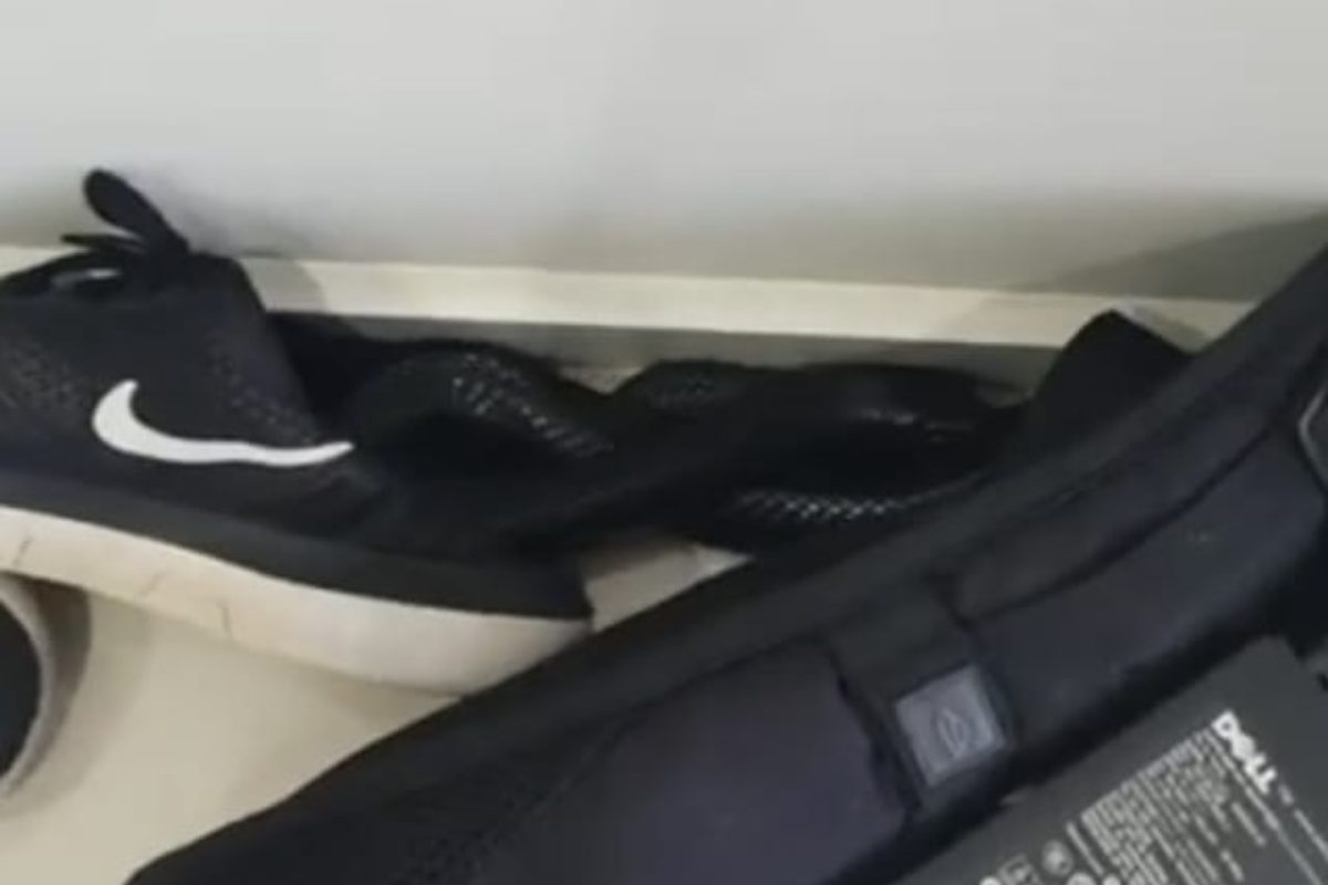 Serpente trovato tra le scarpe