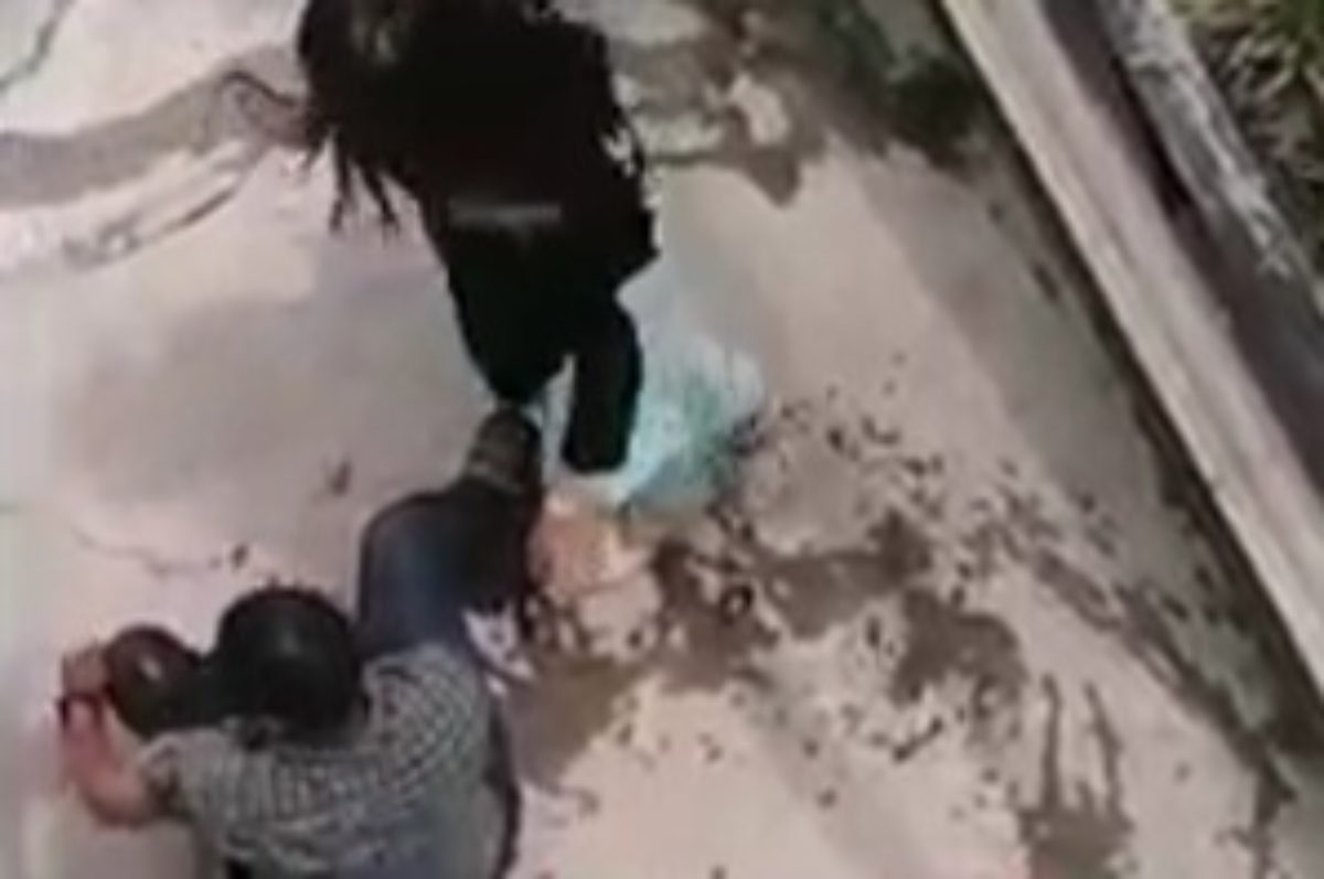 Uomo ferito dal coccodrillo