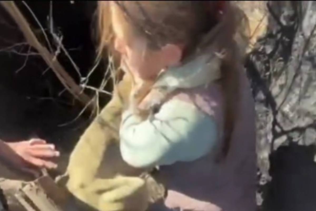 Volontaria che prende la cagnolina randagia