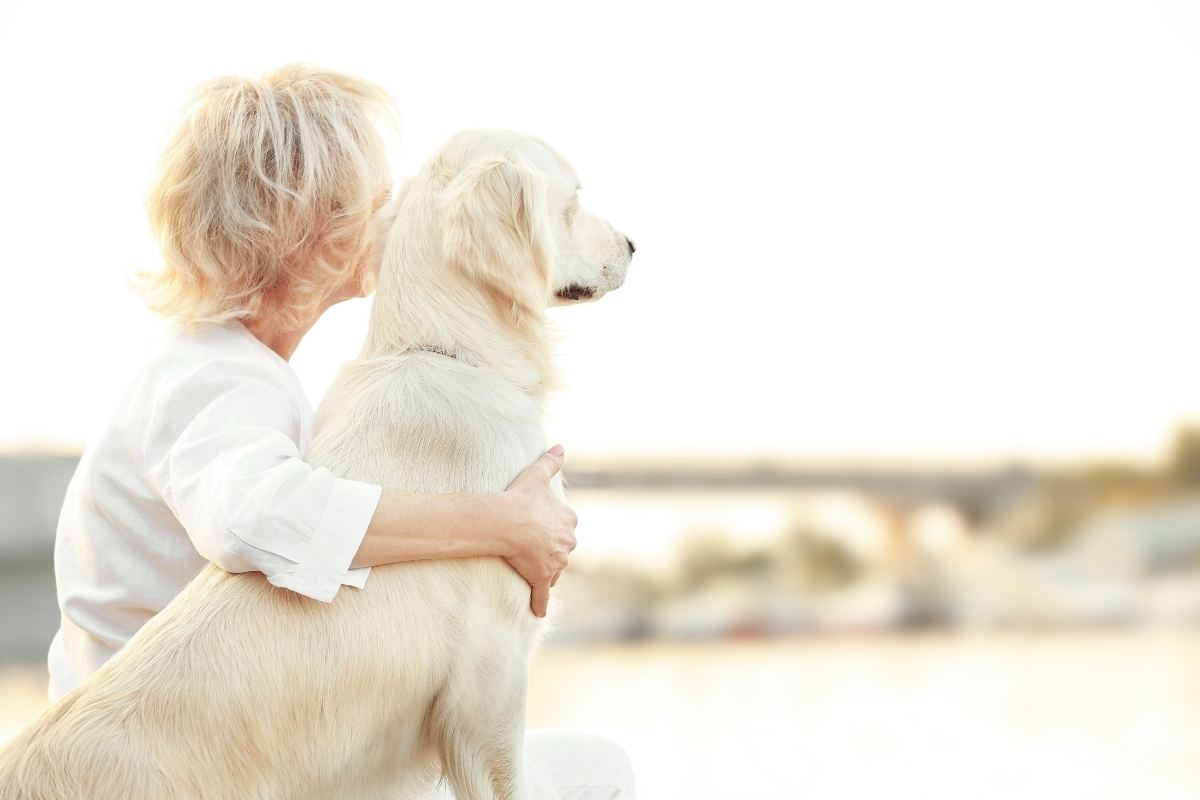 razze di cani migliori per gli anziani