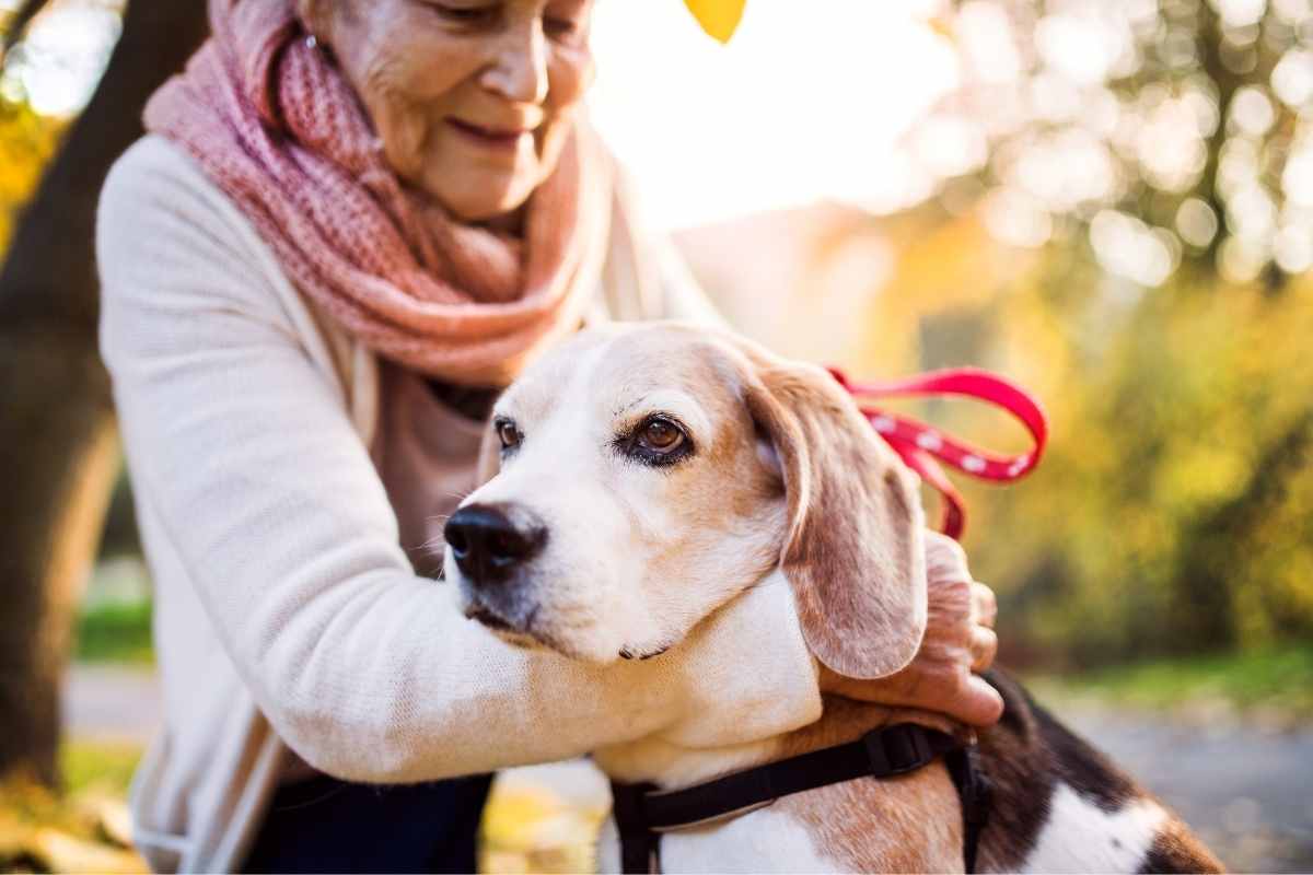 razze di cani migliori per gli anziani