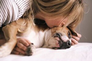 baciare il cane in testa