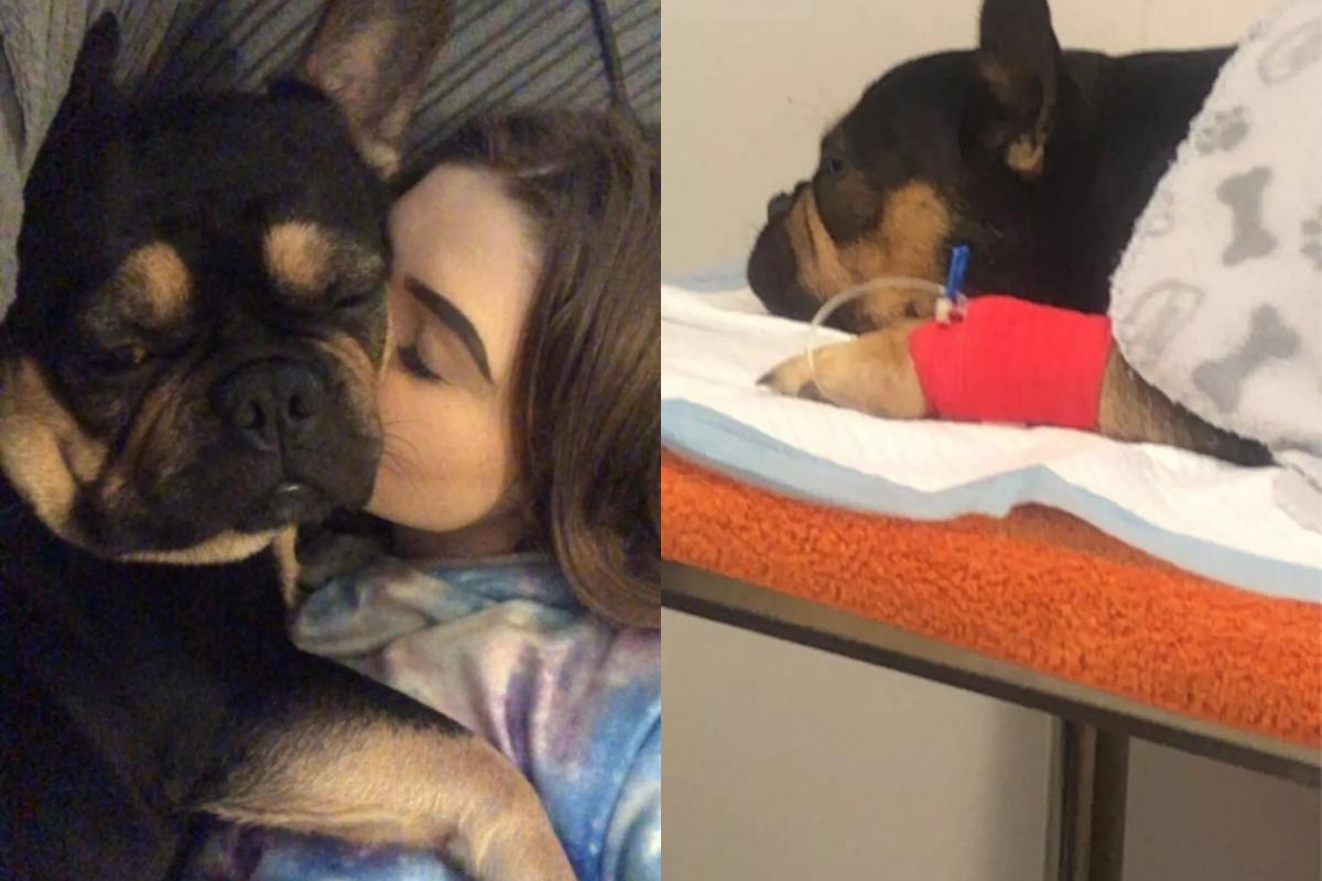 benny e la sua padrona