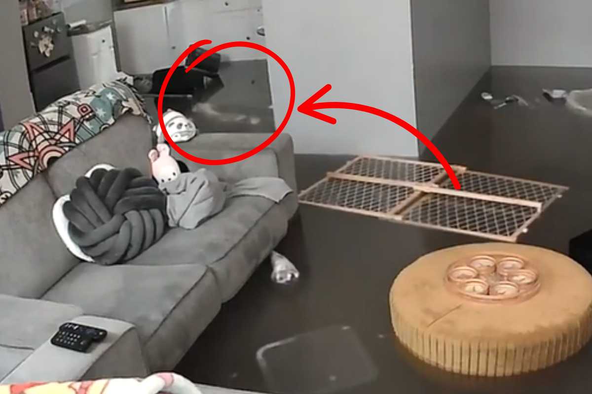 screenshot video