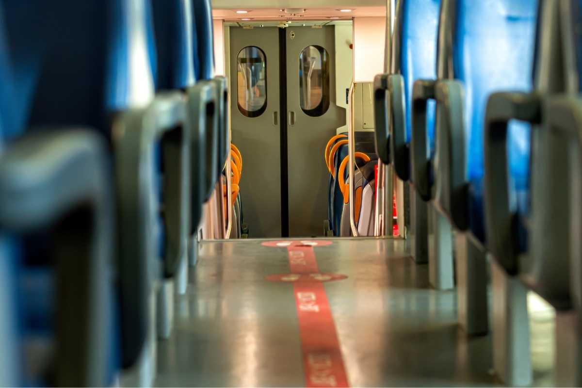 multa per gatto sul treno