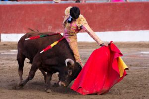 corrida