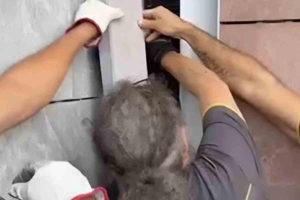 Tensione gattino salvato