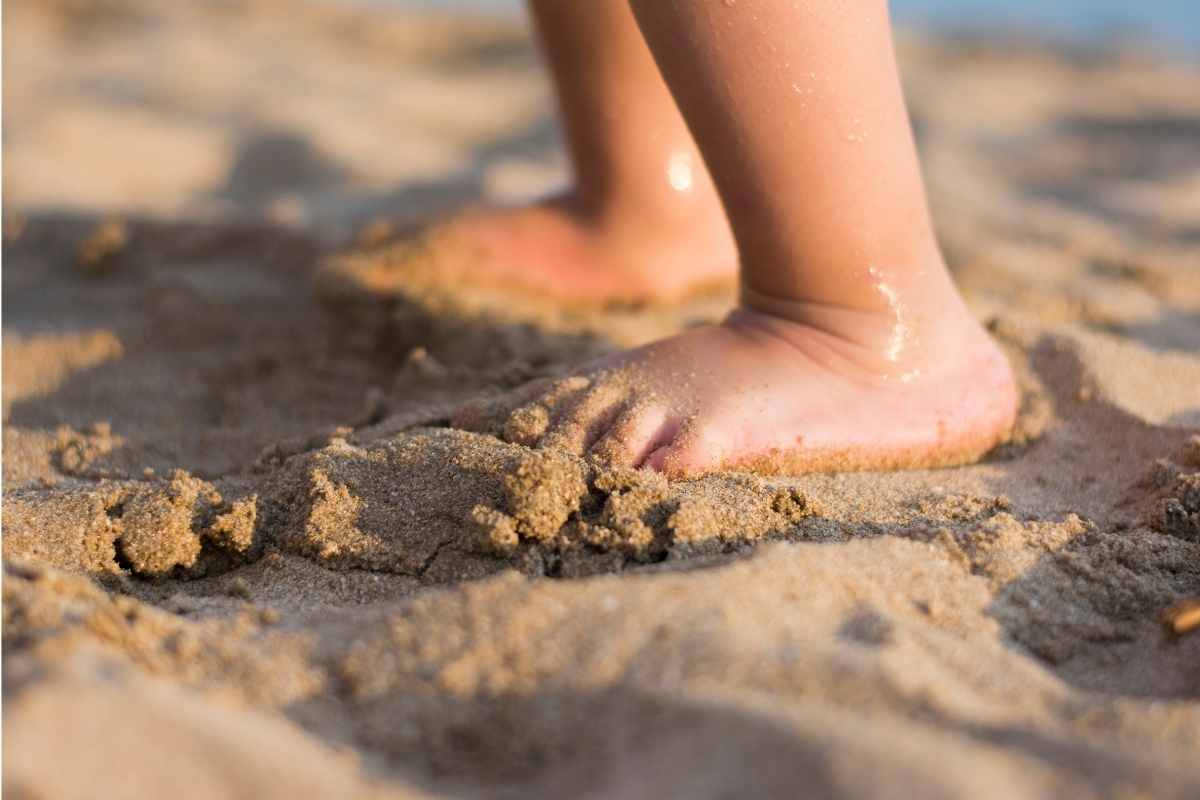 morso da una vipera in spiaggia
