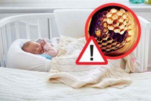 neonata che dorme nella culla e nido calabroni