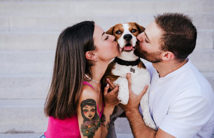 baciare il cane