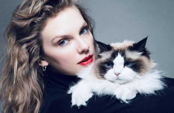 taylor swift con il gatto benjamin