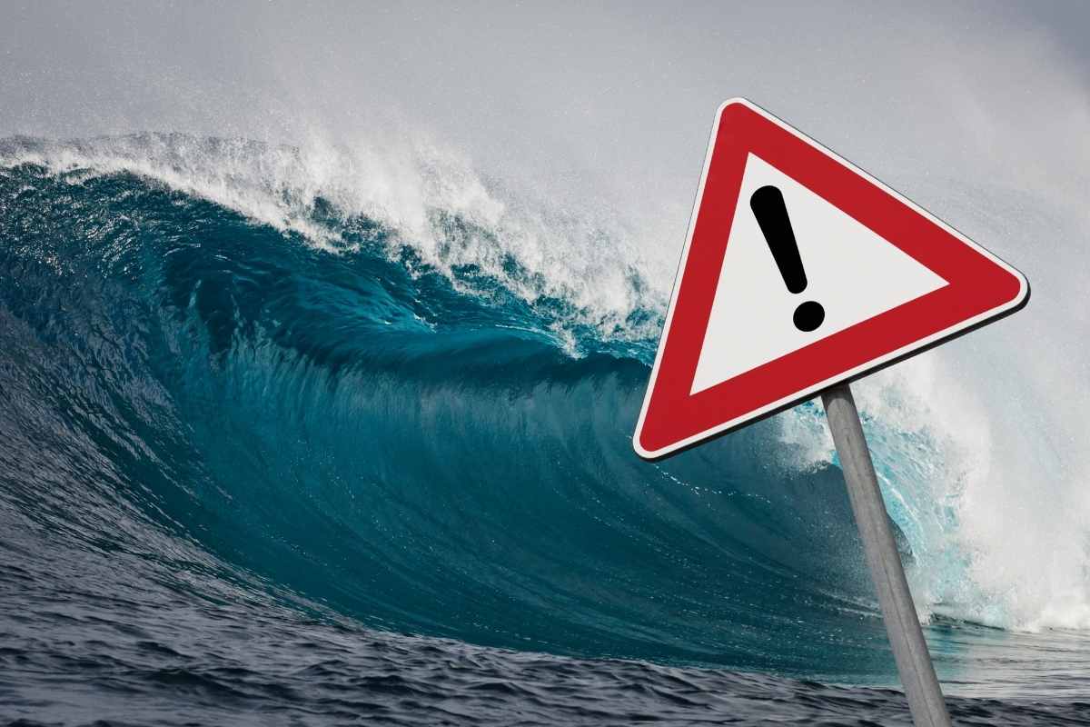 Allerta tsunami nel Pacifico, paura tra i residenti delle città in allarme: ma gli animali?
