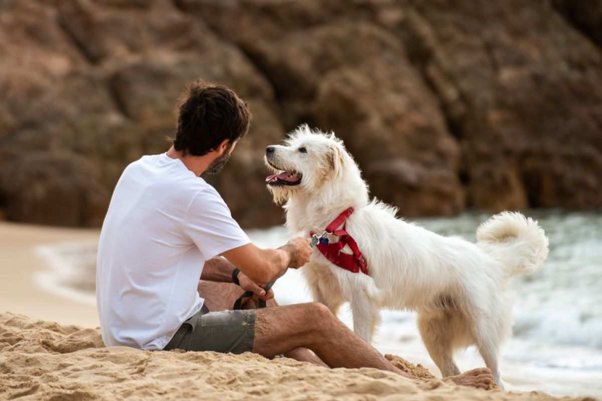 padrone e cane in spiaggia