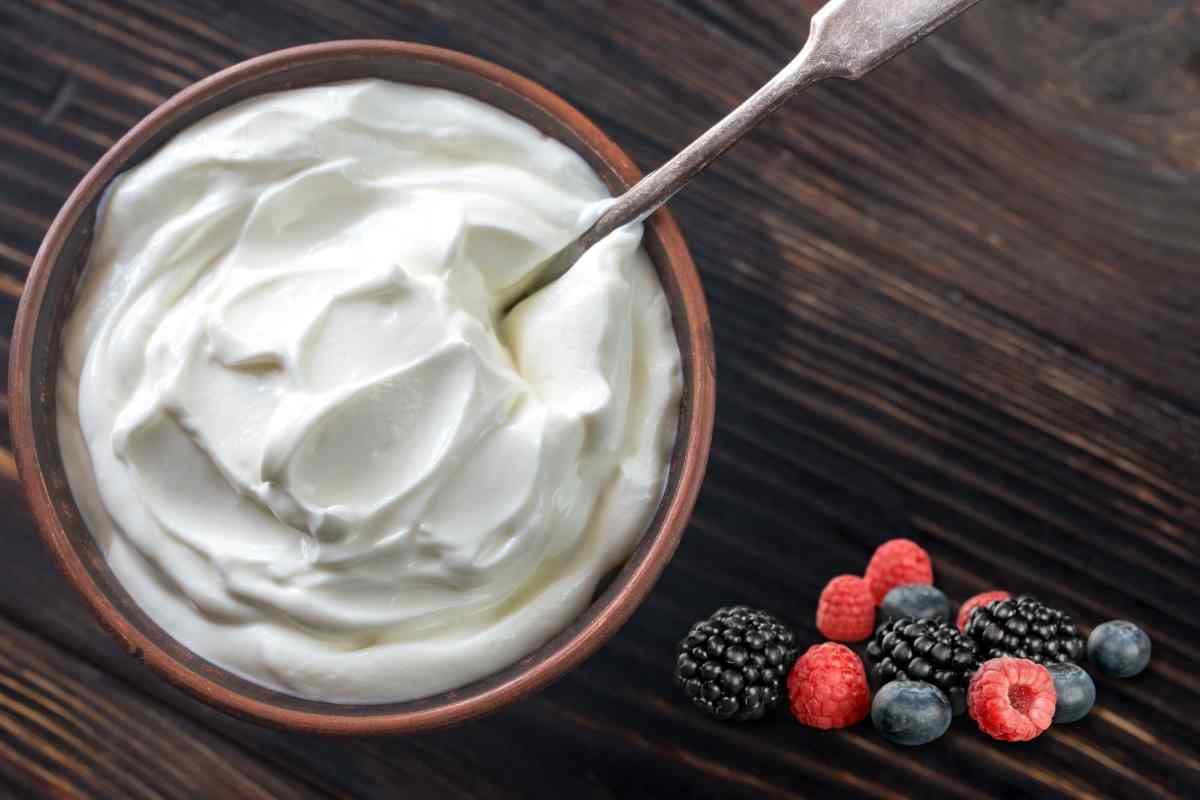 yogurt frutti bosco cane