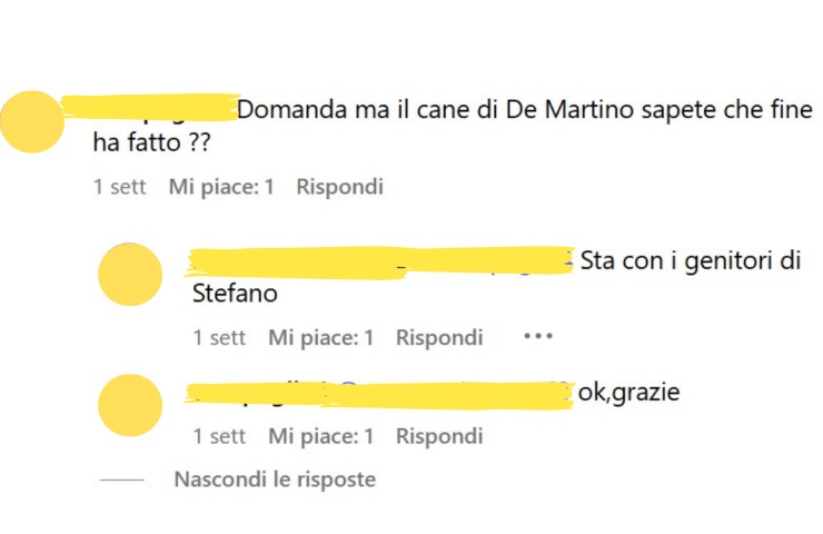 Dei commenti Instagram sul cane di Stefano De Martino