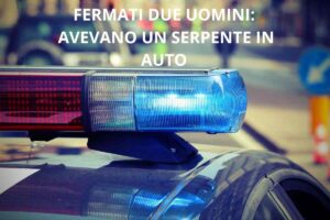 Fermati due uomini con un pitone