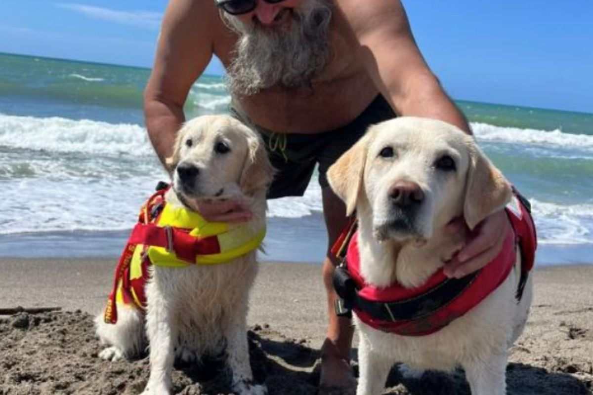 I cani da salvataggio in mare Maia e Panna